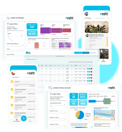 Ilustración-Software